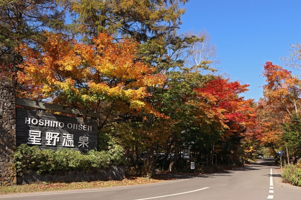 紅葉の中で読書を満喫する「紅葉図書館」軽井沢星野エリアで、どら焼きやりんごドリンクも｜写真17