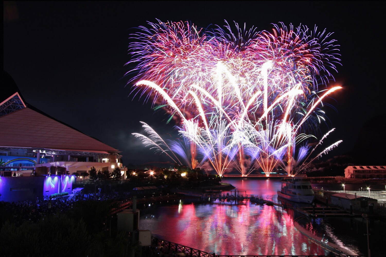 横浜・八景島シーパラダイスの秋イベント「アキパラ！」ペンギンの紅葉道パレード＆イルカショー｜写真6