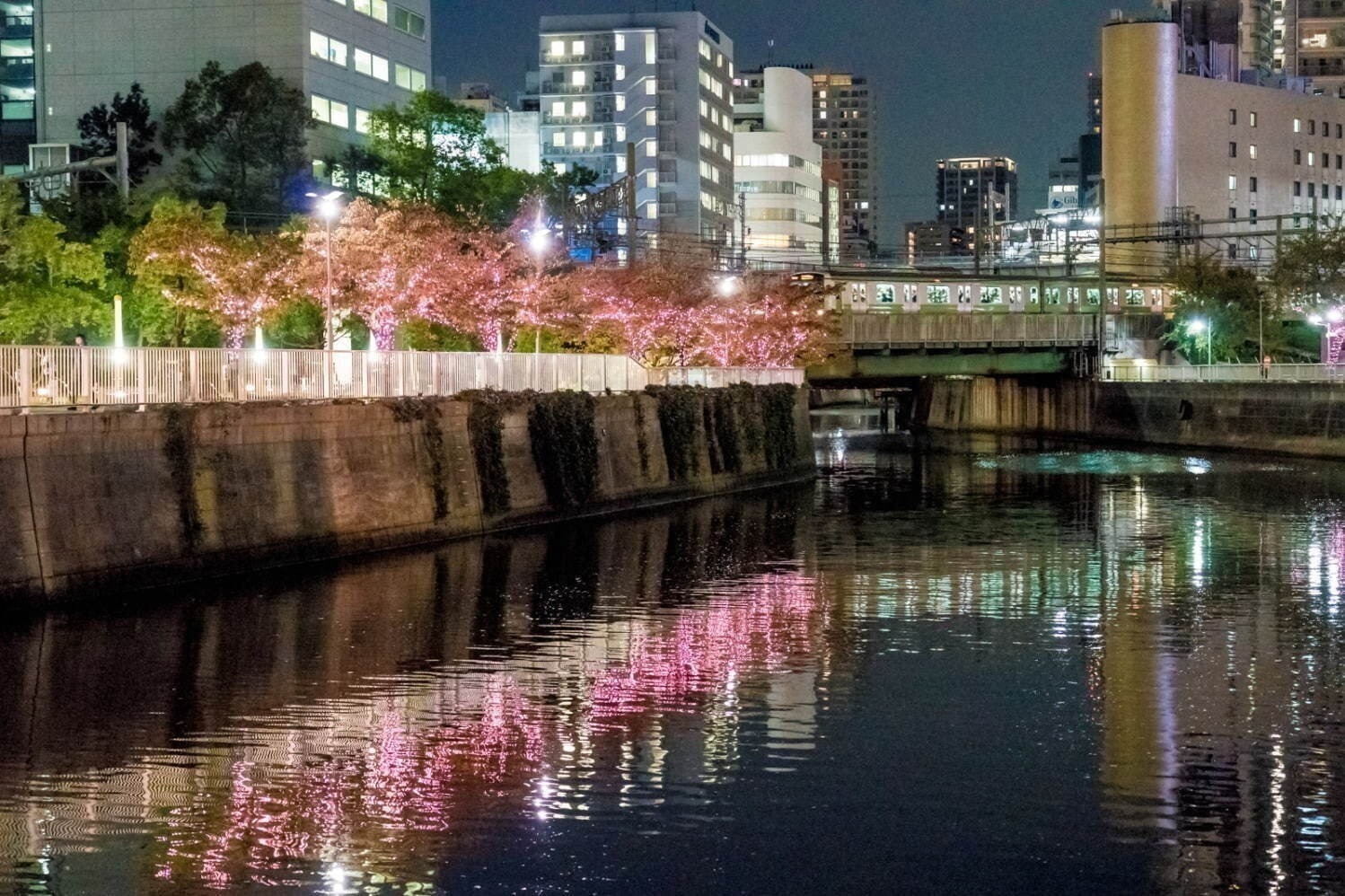 「全国イルミネーションイベント」2023-24年版、冬の関東＆関西人気お出かけスポット｜写真28