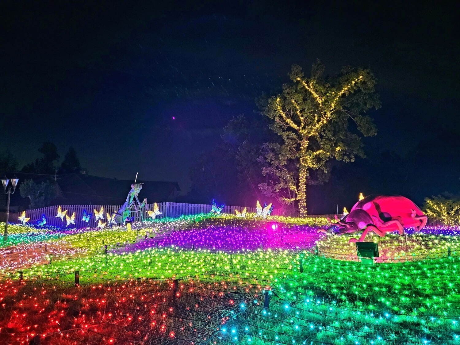 大阪・京都・神戸の関西イルミネーションイベント2023年、クリスマスライトアップなど冬のお出かけ｜写真9