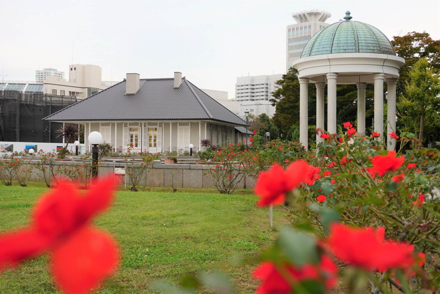 横須賀市ヴェルニー公園「秋のローズフェスタ」色も香りも濃い約130種類の秋バラが見ごろに｜写真3