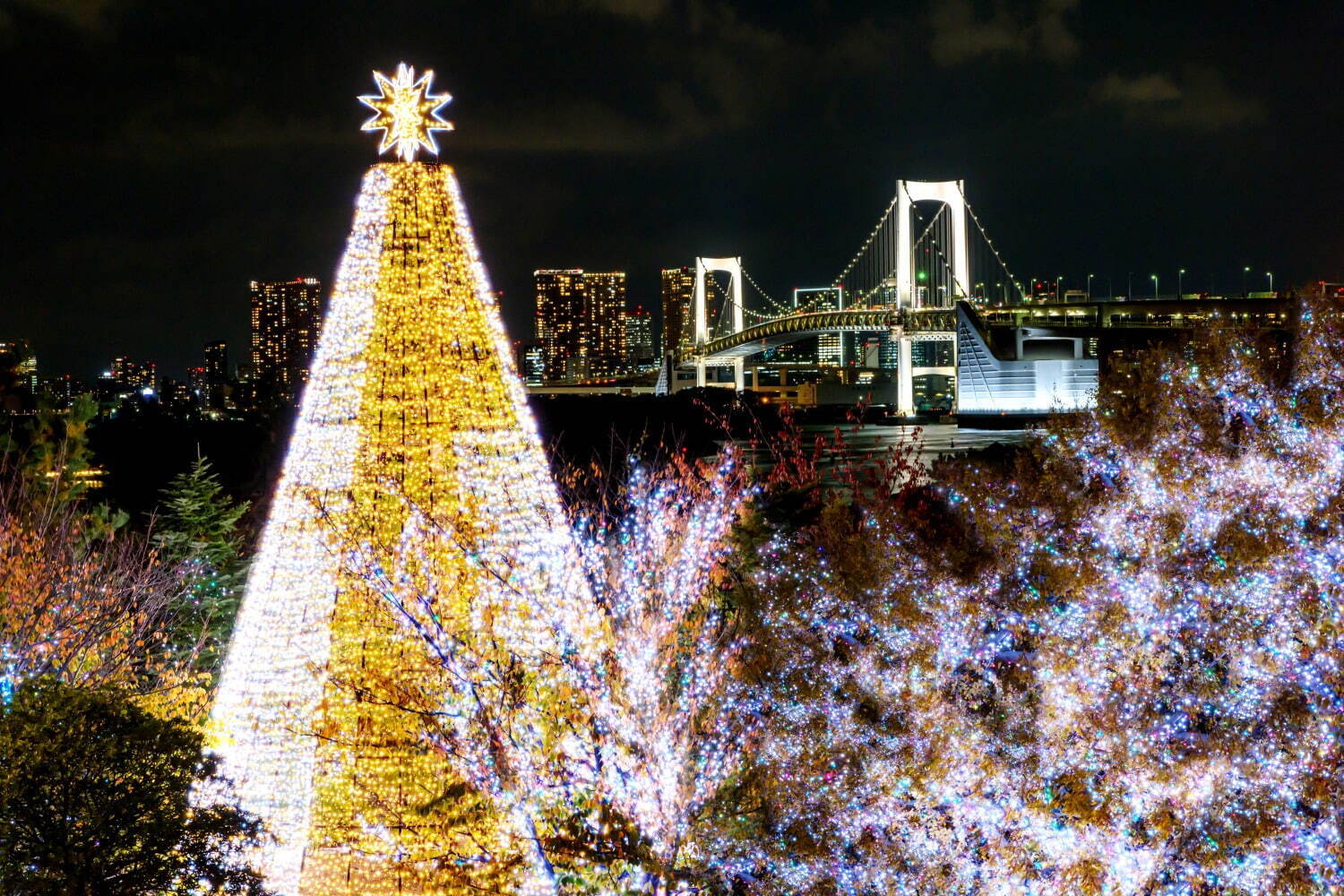 お台場・デックス東京ビーチのイルミネーション、東京タワーやレインボーブリッジを望む都内屈指のスポット｜写真1