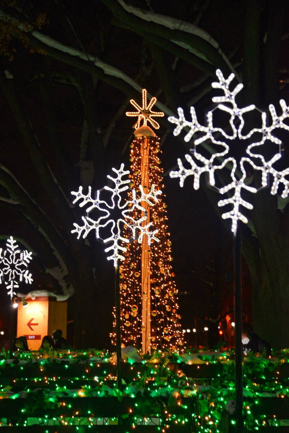 「2023 さっぽろホワイトイルミネーション」北海道・札幌の街を彩る冬の光、クリスマス市も｜写真2