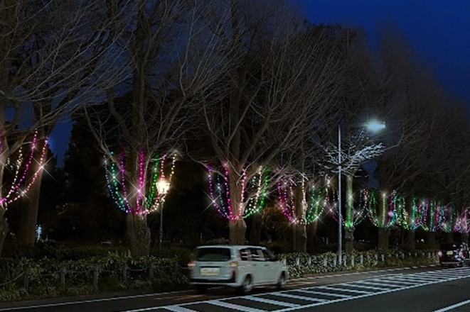 横浜・山下公園のイルミネーションイベント「イルミーヌ・ヨコハマ」ライトアート作品＆音の演出｜写真2