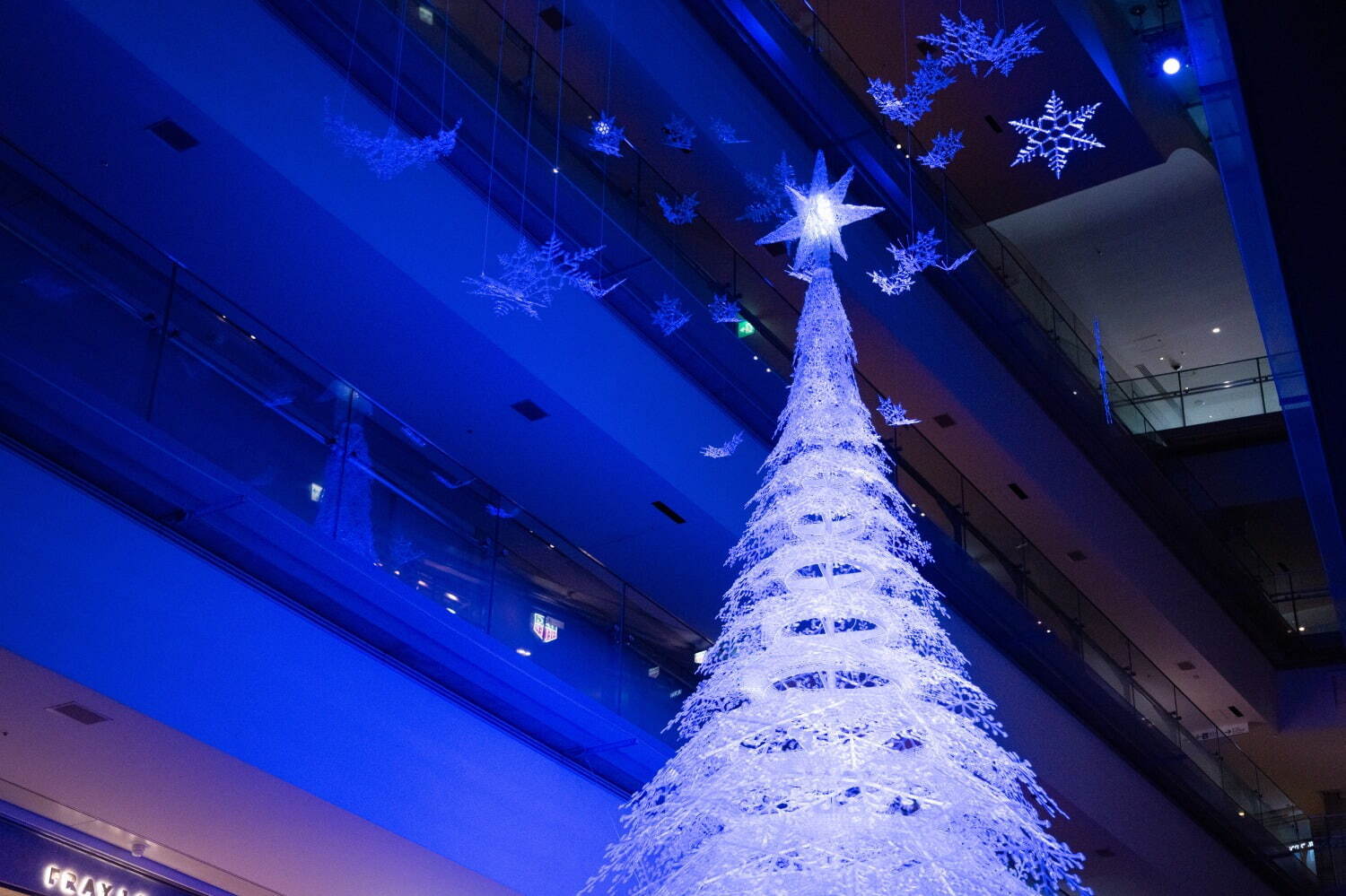 表参道ヒルズ23年クリスマスイルミネーション、“雪の結晶”約500個が透明の光を放つツリー｜写真16