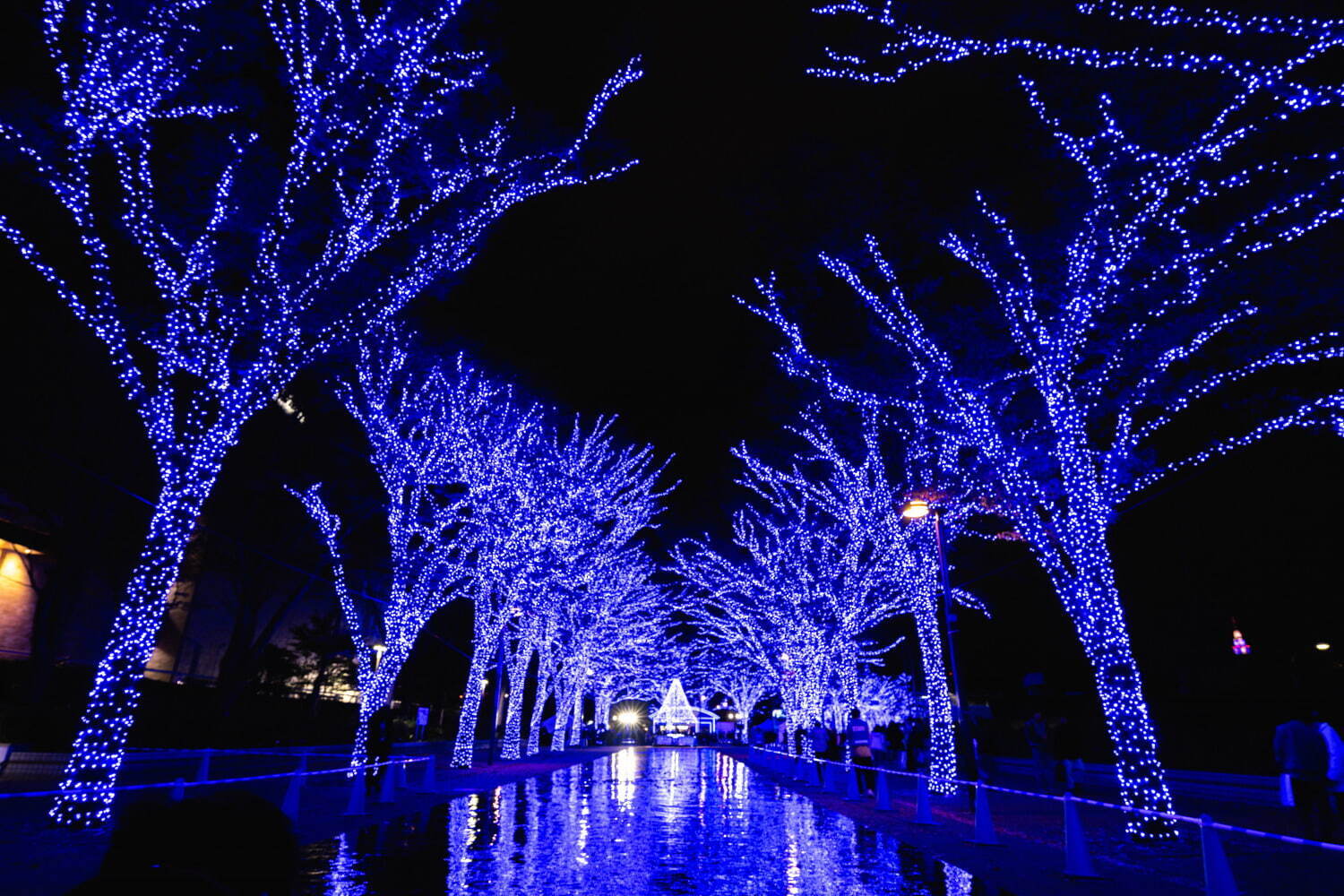 「青の洞窟 SHIBUYA」約77万球“青いイルミネーション”で彩る渋谷の街、クリスマスマーケットも｜写真4