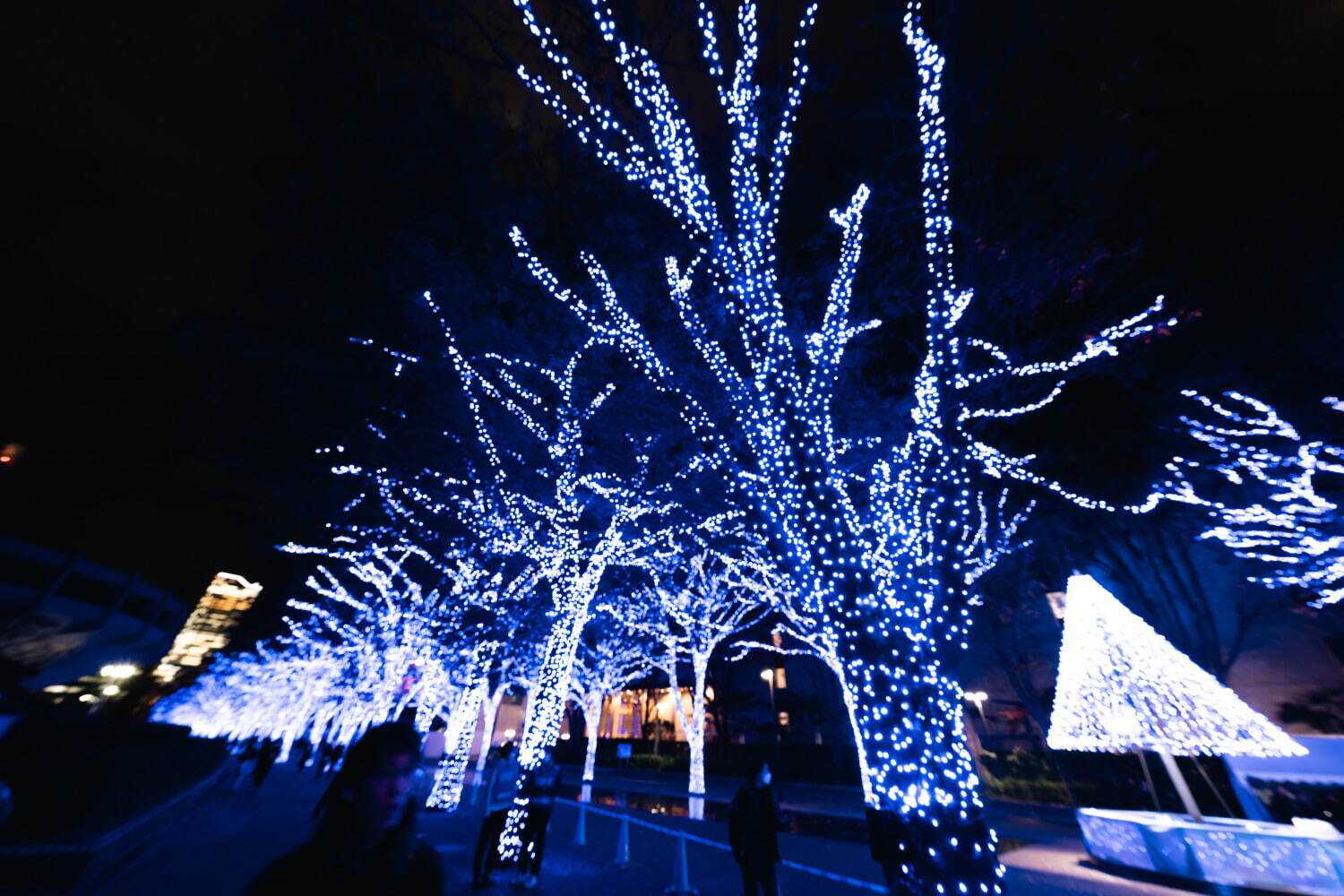 「青の洞窟 SHIBUYA」約77万球“青いイルミネーション”で彩る渋谷の街、クリスマスマーケットも｜写真3