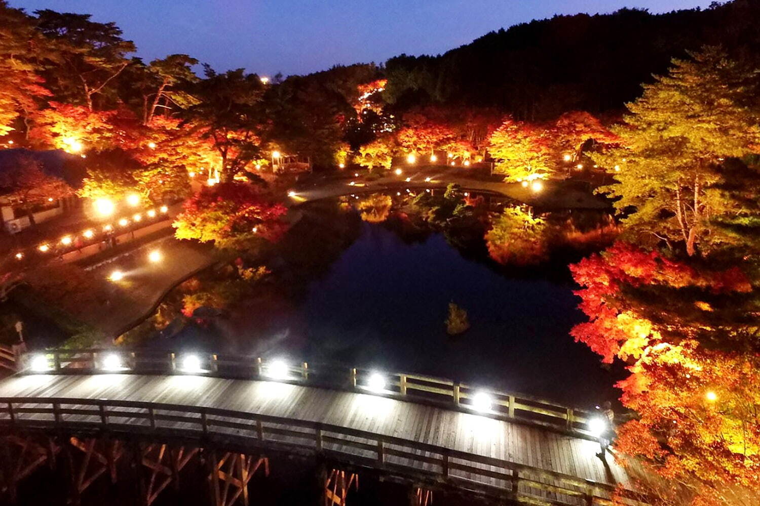 静岡・修善寺虹の郷の紅葉イベント「もみじライトアップ」約2,000本が見頃に、花火やランタンも｜写真2