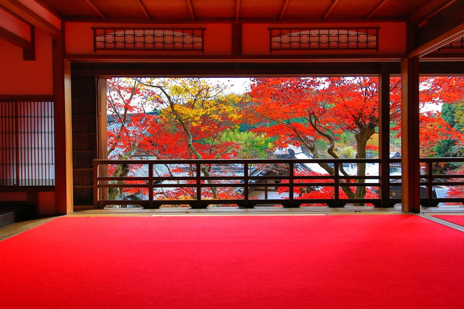 京都「柳谷観音 楊谷寺」の紅葉イベント、名勝庭園に臨む上書院の特別公開や夜間ライトアップ｜写真8