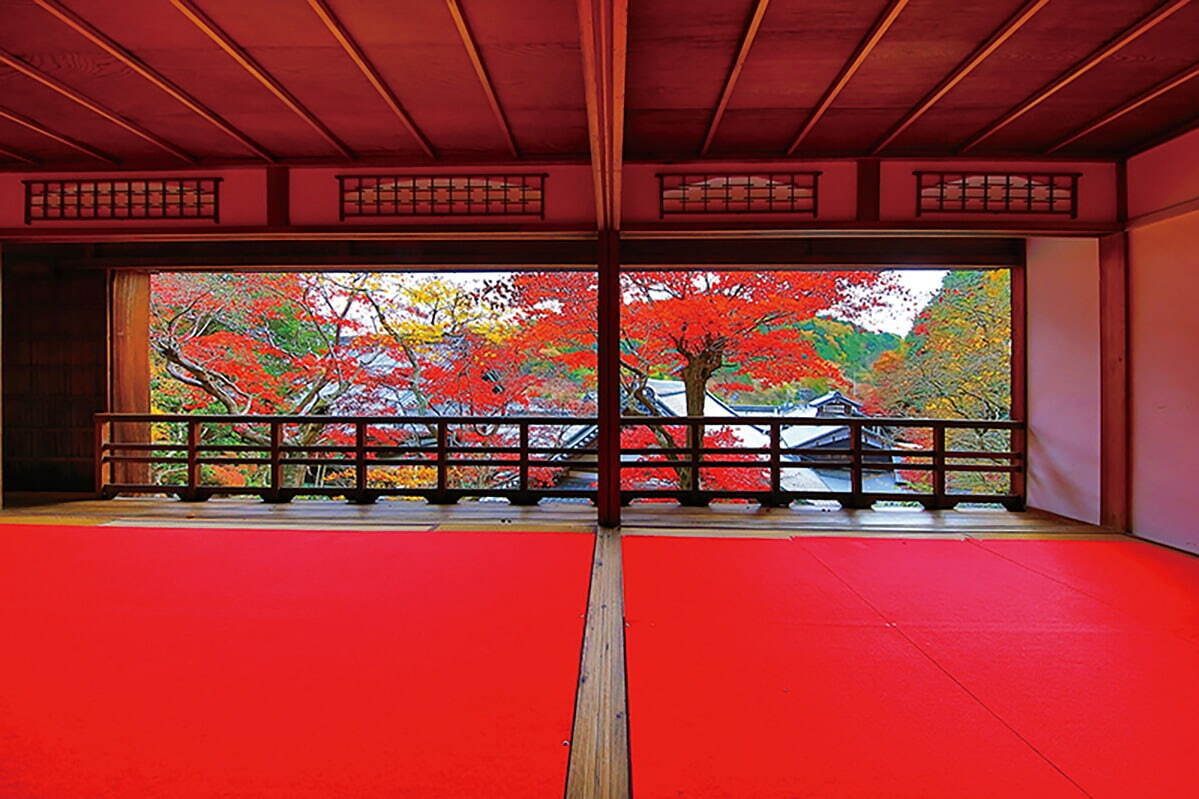 京都「柳谷観音 楊谷寺」の紅葉イベント、名勝庭園に臨む上書院の特別公開や夜間ライトアップ｜写真1