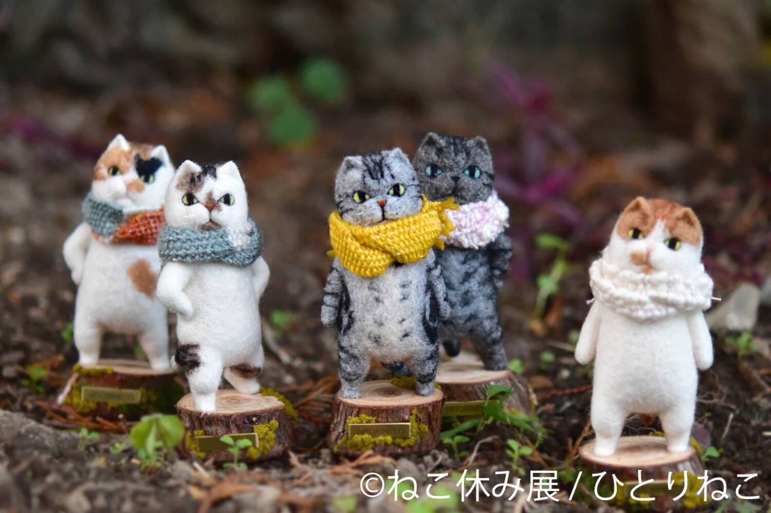 猫の合同写真展「ねこ休み展 in 池袋」サンシャインシティで、ほっこり作品展示＆限定グッズ販売｜写真15