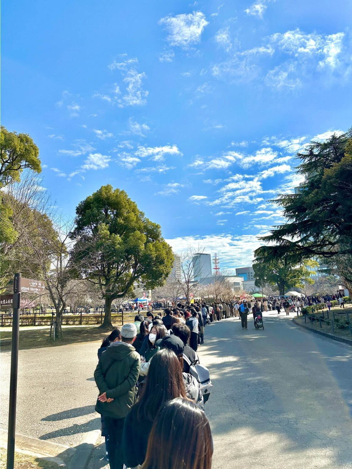 「おいもフェス SHIZUOKA 2024」全国人気店の“焼き芋＆おいもスイーツ”が静岡に集結｜写真5