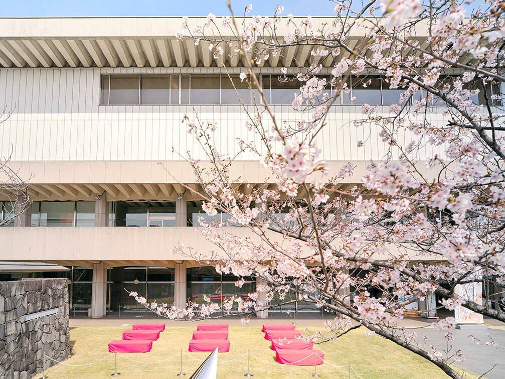 「美術館の春まつり」東京国立近代美術館で - 桜を描いた重要文化財など、春にちなんだ作品を紹介｜写真14