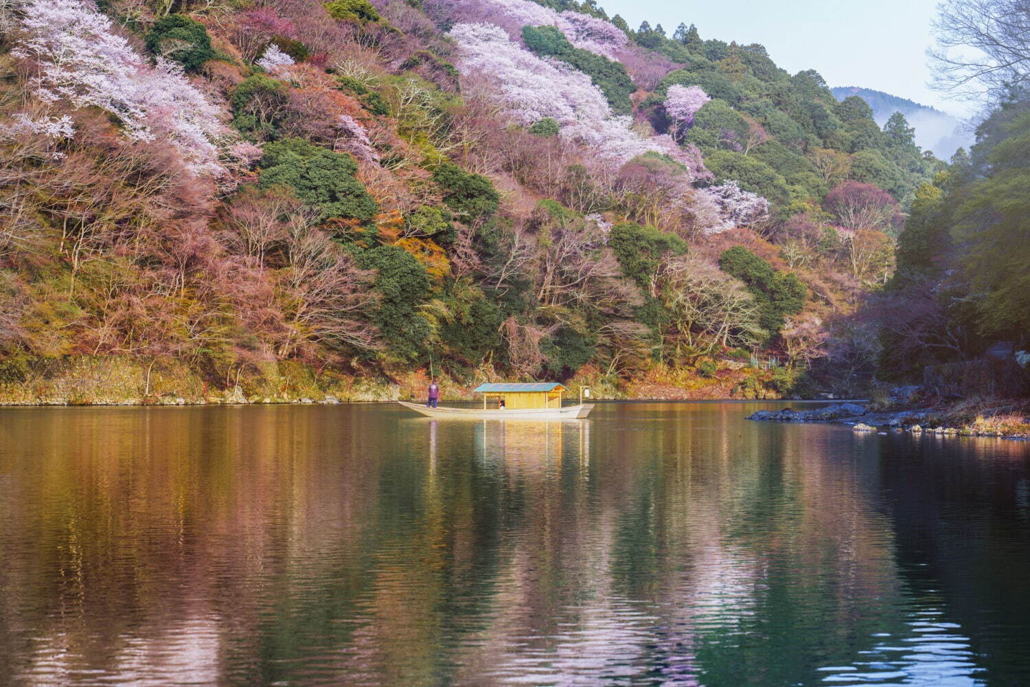 星のや京都の“お花見”滞在プラン - 貸し切りテラスや屋形舟から眺める桜の花、花見膳やライトアップも｜写真13