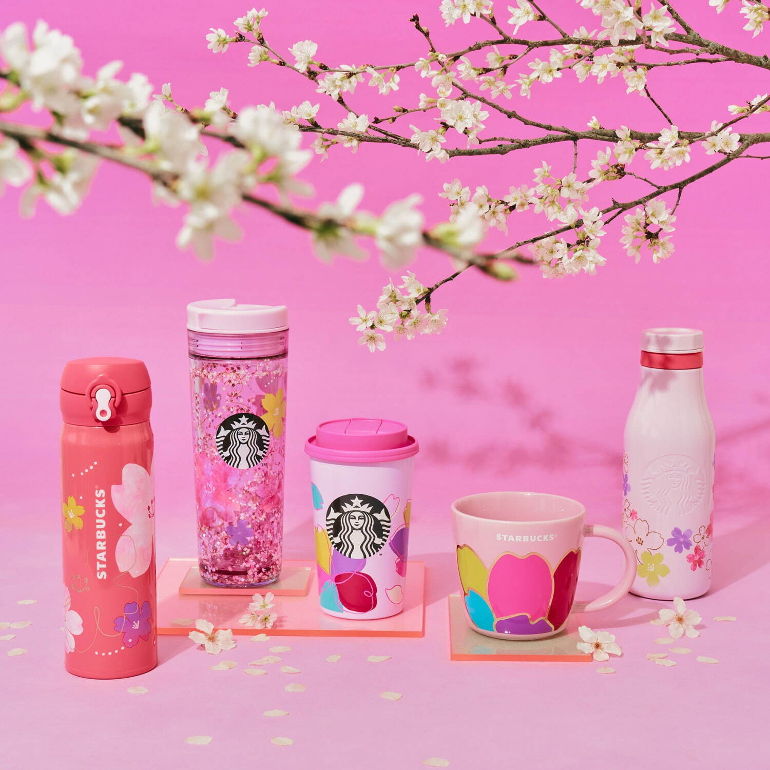 スターバックス(Starbucks Coffee) SAKURA｜写真1