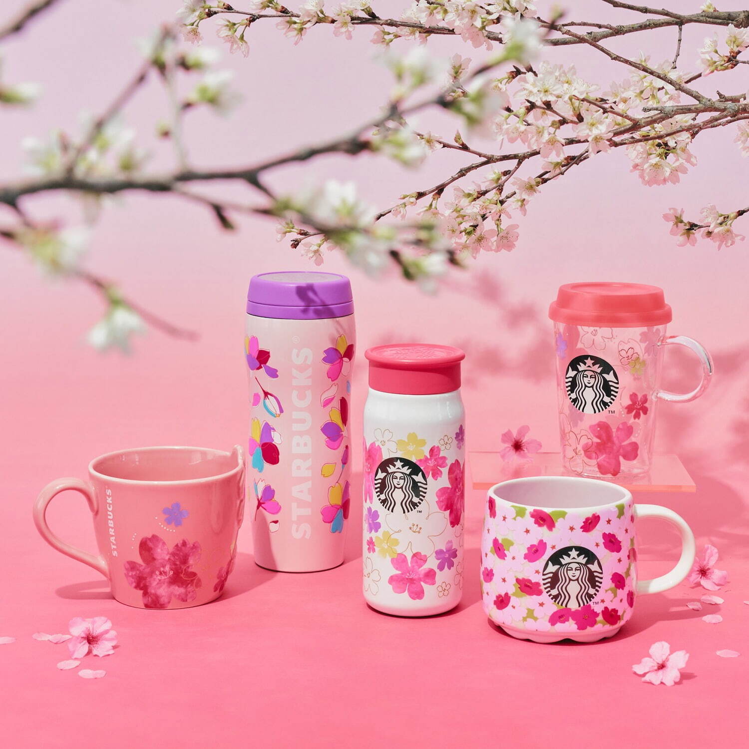 スターバックス(Starbucks Coffee) SAKURA｜写真2