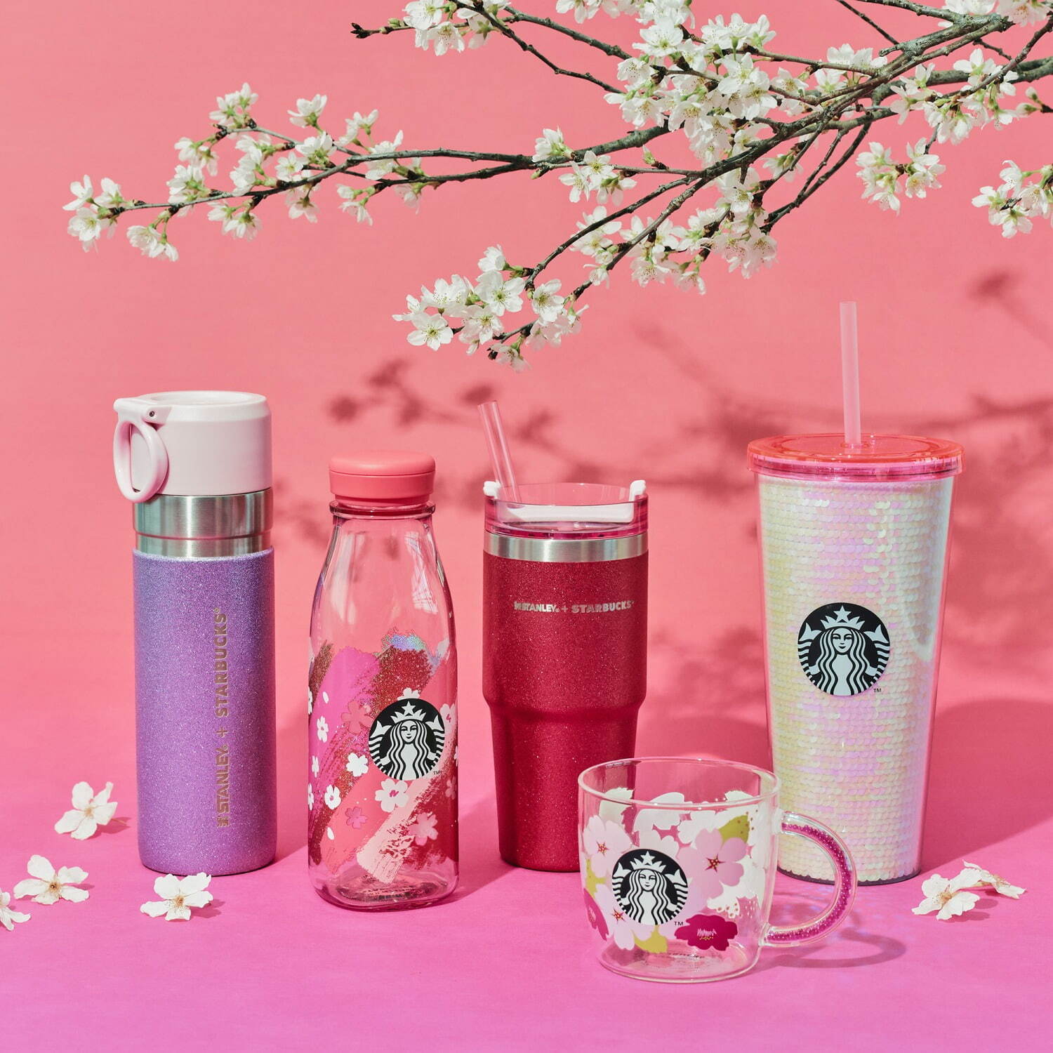 スターバックス(Starbucks Coffee) SAKURA｜写真4