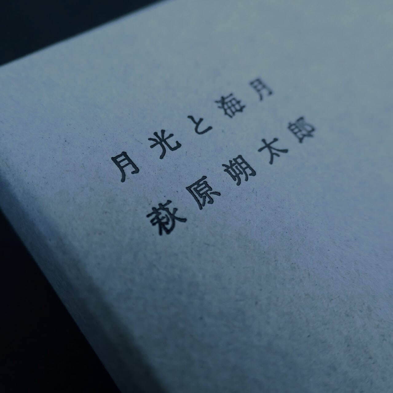 萩原朔太郎の詩を味わう「月光と海月」着想ショコラ、“シナモン＆ラズベリー”香るカカオへリニューアル｜写真4