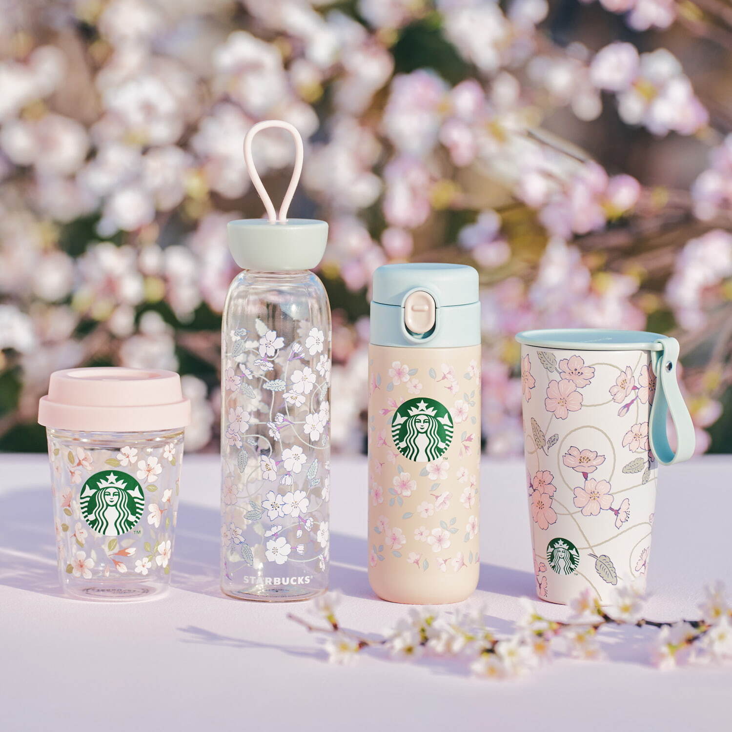 スターバックス(Starbucks Coffee) 桜｜写真1