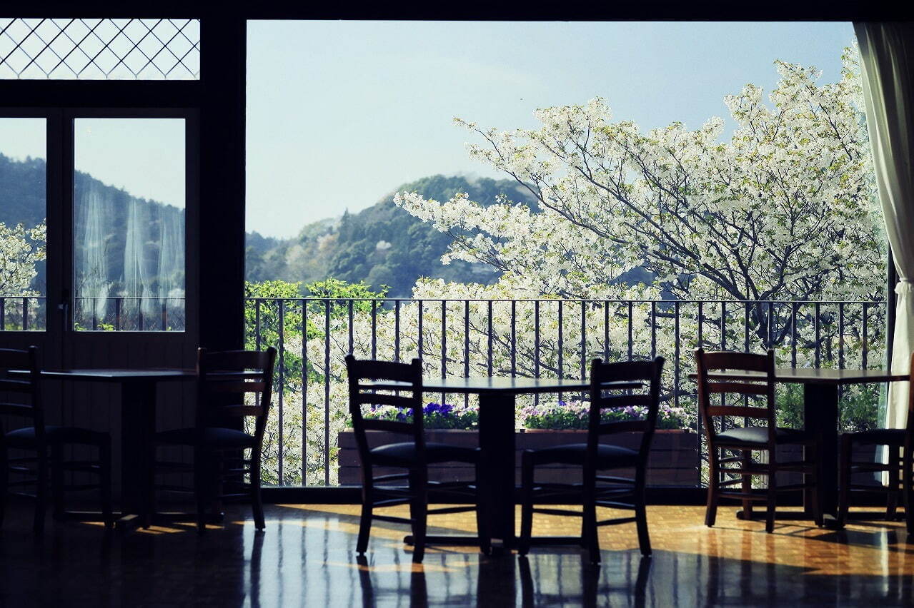 神戸布引ハーブ園でお花見 - 山桜と神戸の街並みを眺める展望エリア、手ぶらピクニックプランも｜写真9