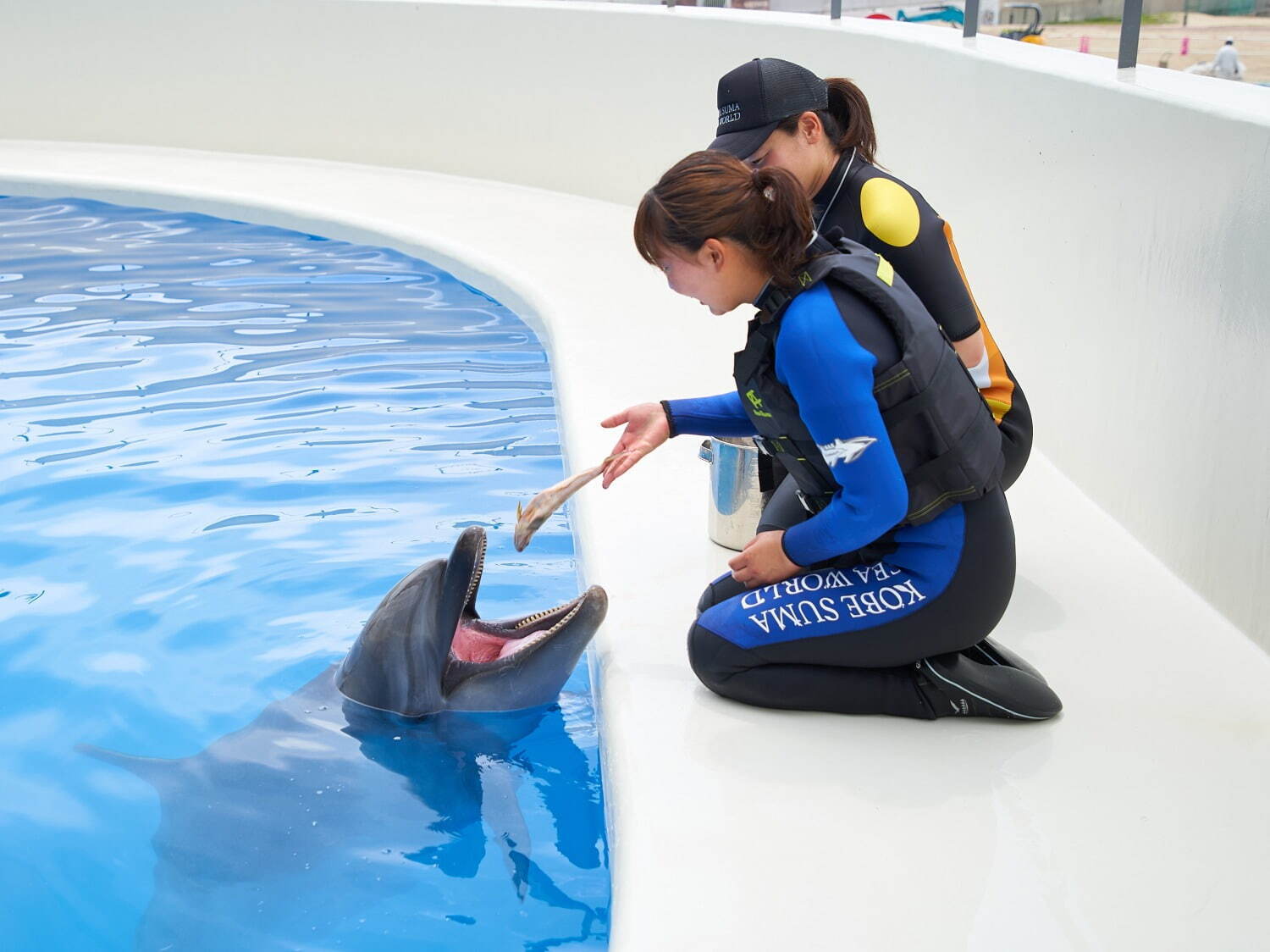 「神戸須磨シーワールドホテル」須磨海浜水族園跡地に、国内初“イルカとふれあう”プール常設＆水槽付客室｜写真49