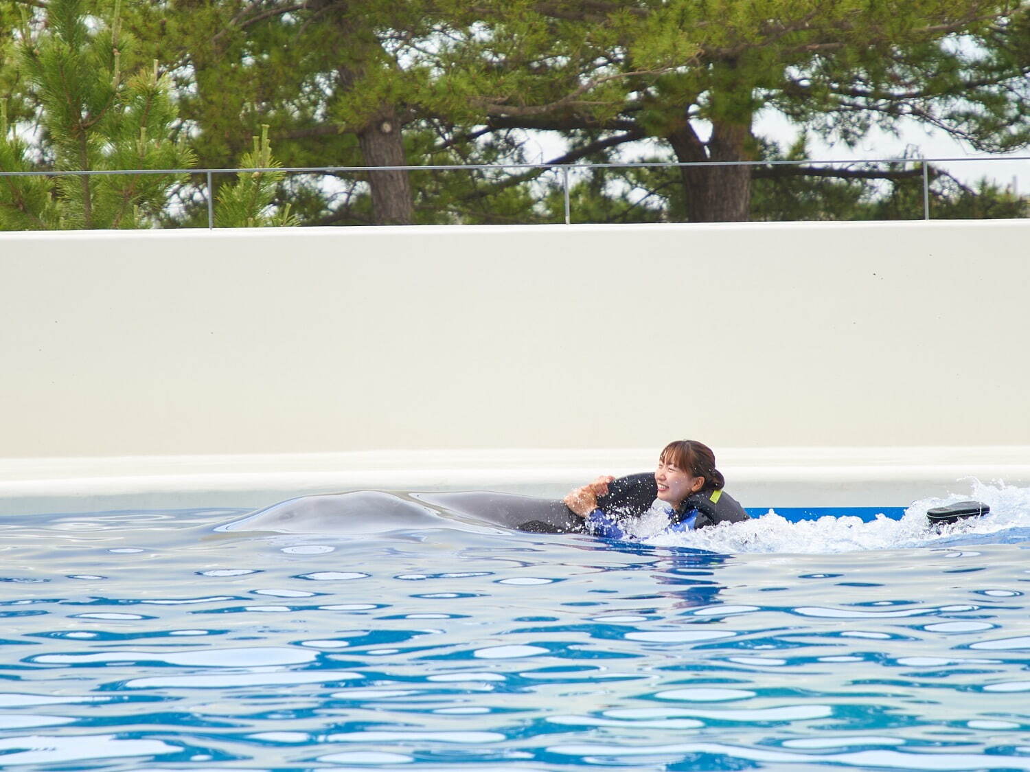 「神戸須磨シーワールドホテル」須磨海浜水族園跡地に、国内初“イルカとふれあう”プール常設＆水槽付客室｜写真56