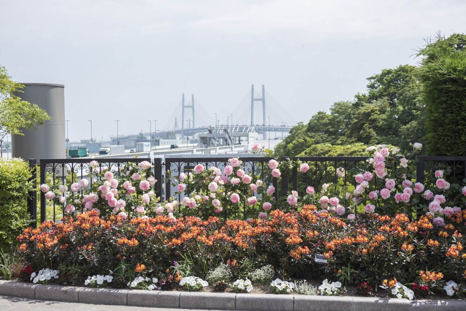 「横浜ローズウィーク」2,000品種以上のバラが横浜市内に登場、“バラ”着想の限定グルメも｜写真10