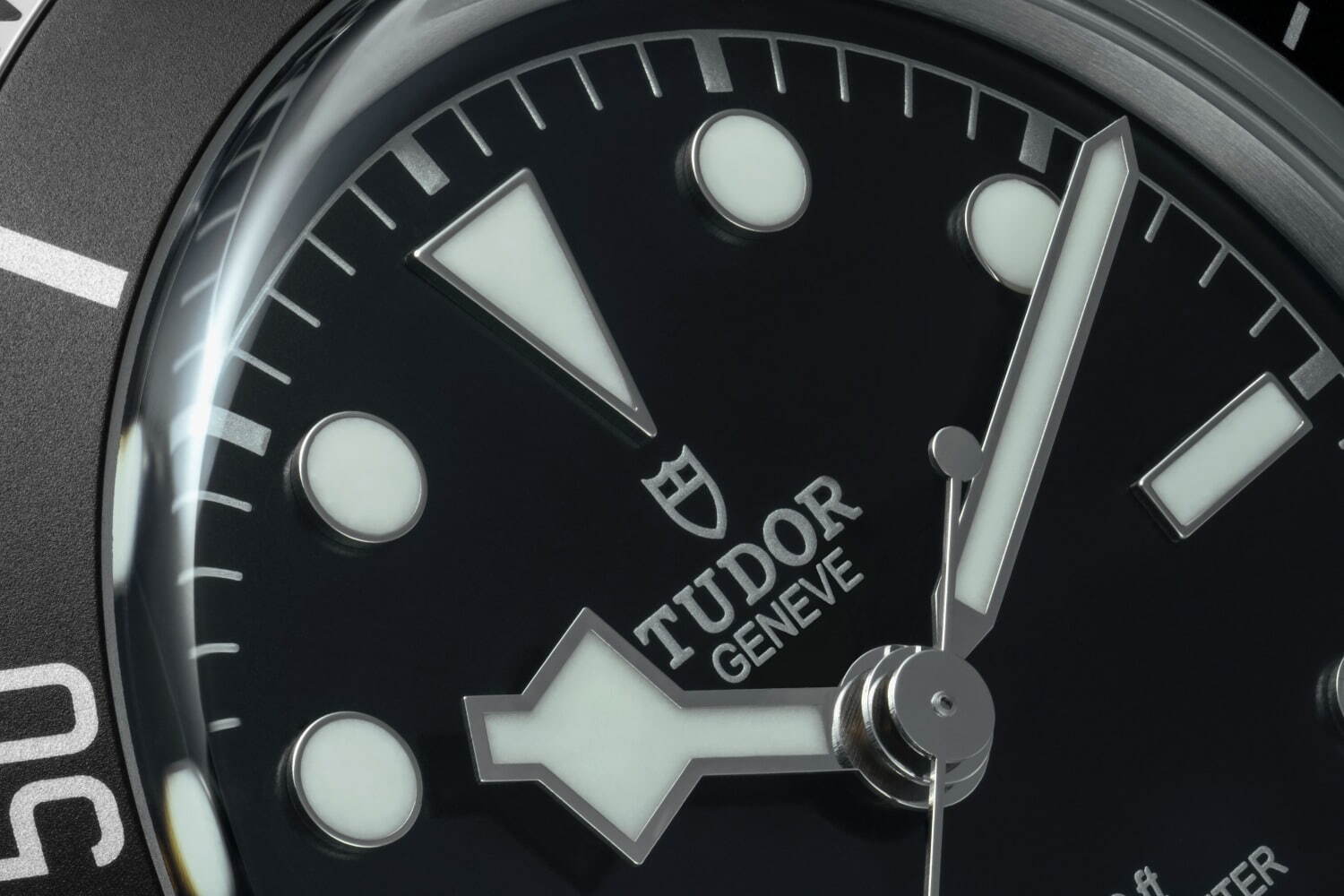 チューダー(TUDOR) ブラックベイ｜写真5