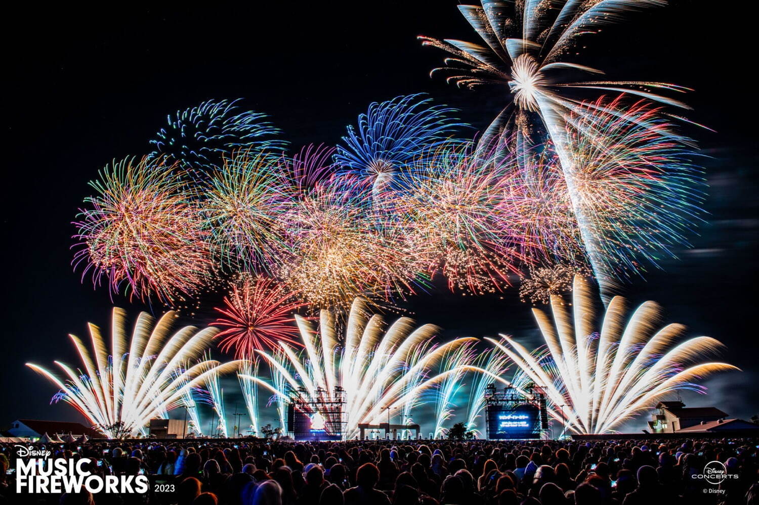 全国の花火大会＜2024年夏＞日時・会場・チケットなど全国の有名花火大会開催情報まとめ｜写真26