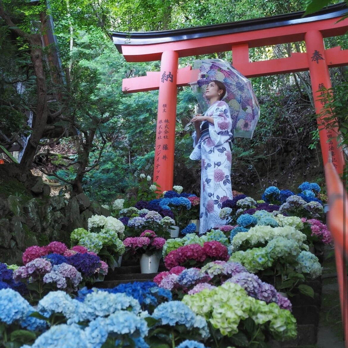 「あじさいウイーク」京都・柳谷観音 楊谷寺に約5,000株のあじさい、カラフル“花手水”も｜写真4