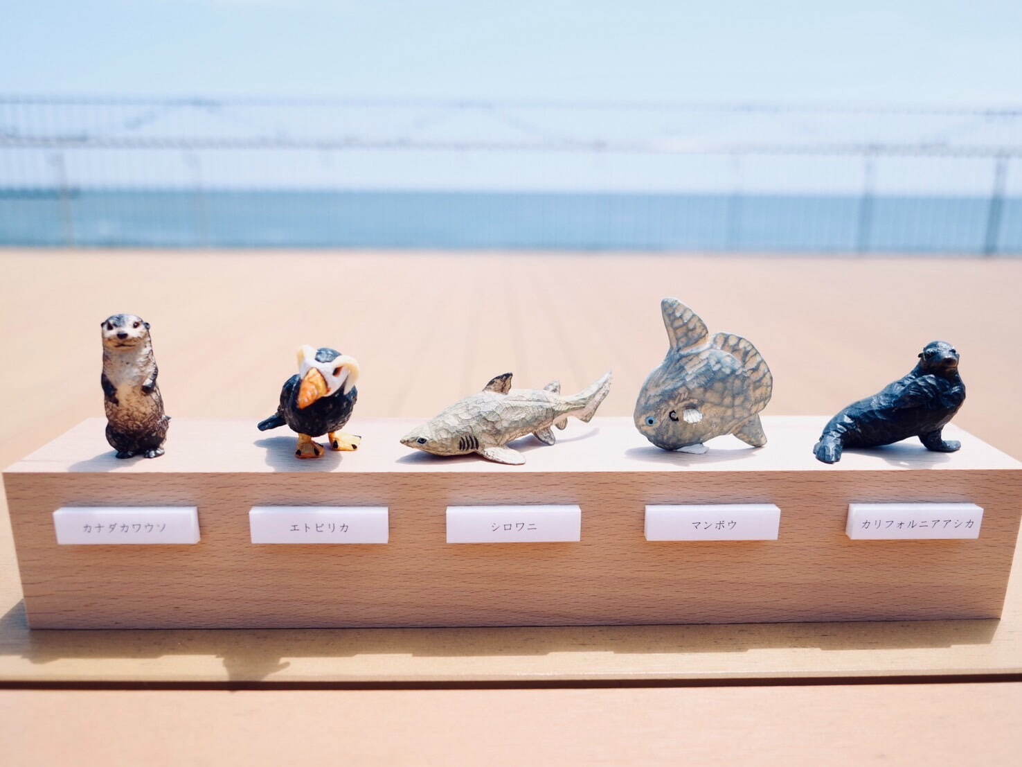 銀座ロフトに全国各地の水族館グッズが集結、コツメカワウソの刺繍ポーチやペンギンコップなど｜写真16