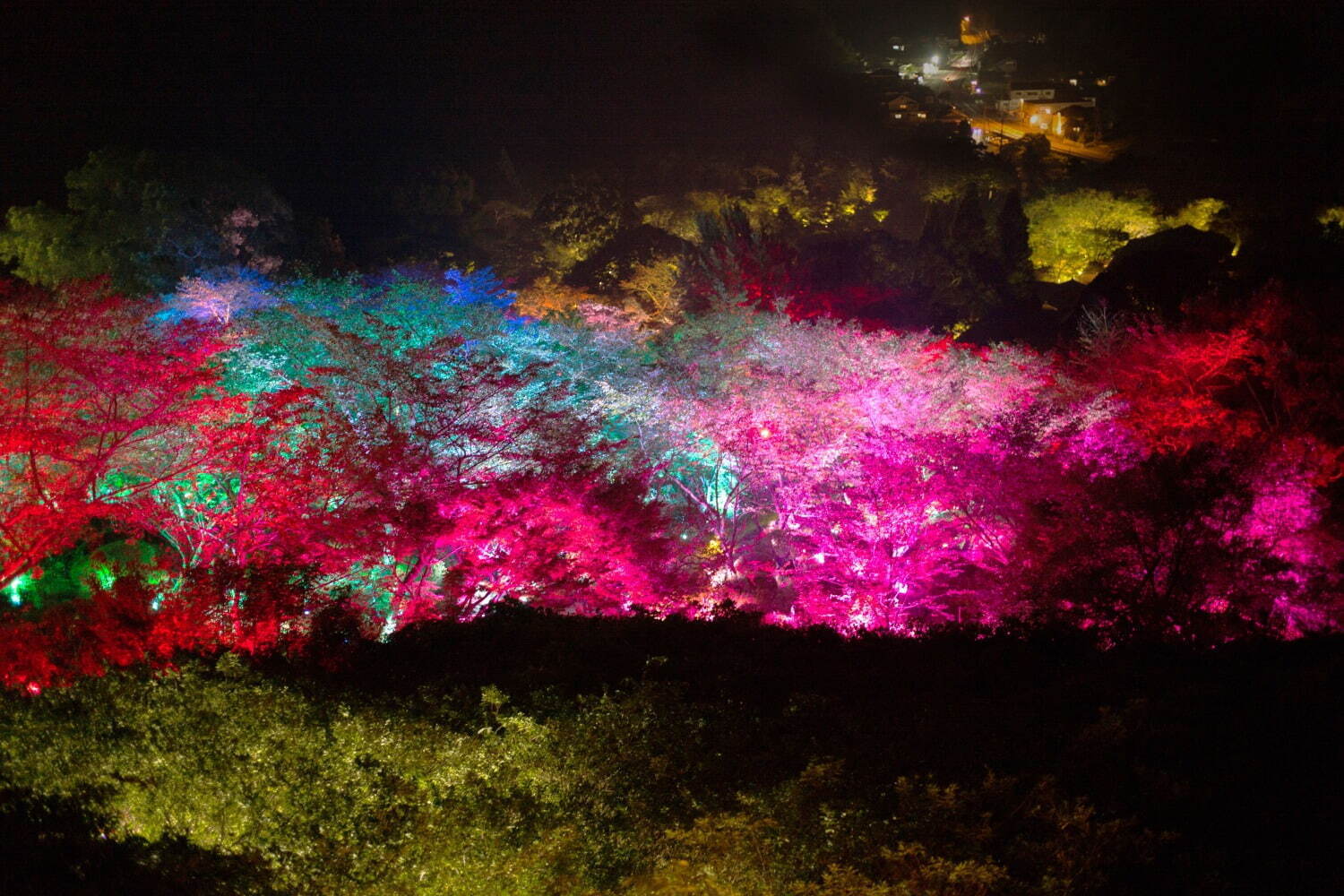 チームラボが佐賀・御船山楽園の大自然を光のアートに、滝”の投影や輝く桜＆もみじなど｜写真22