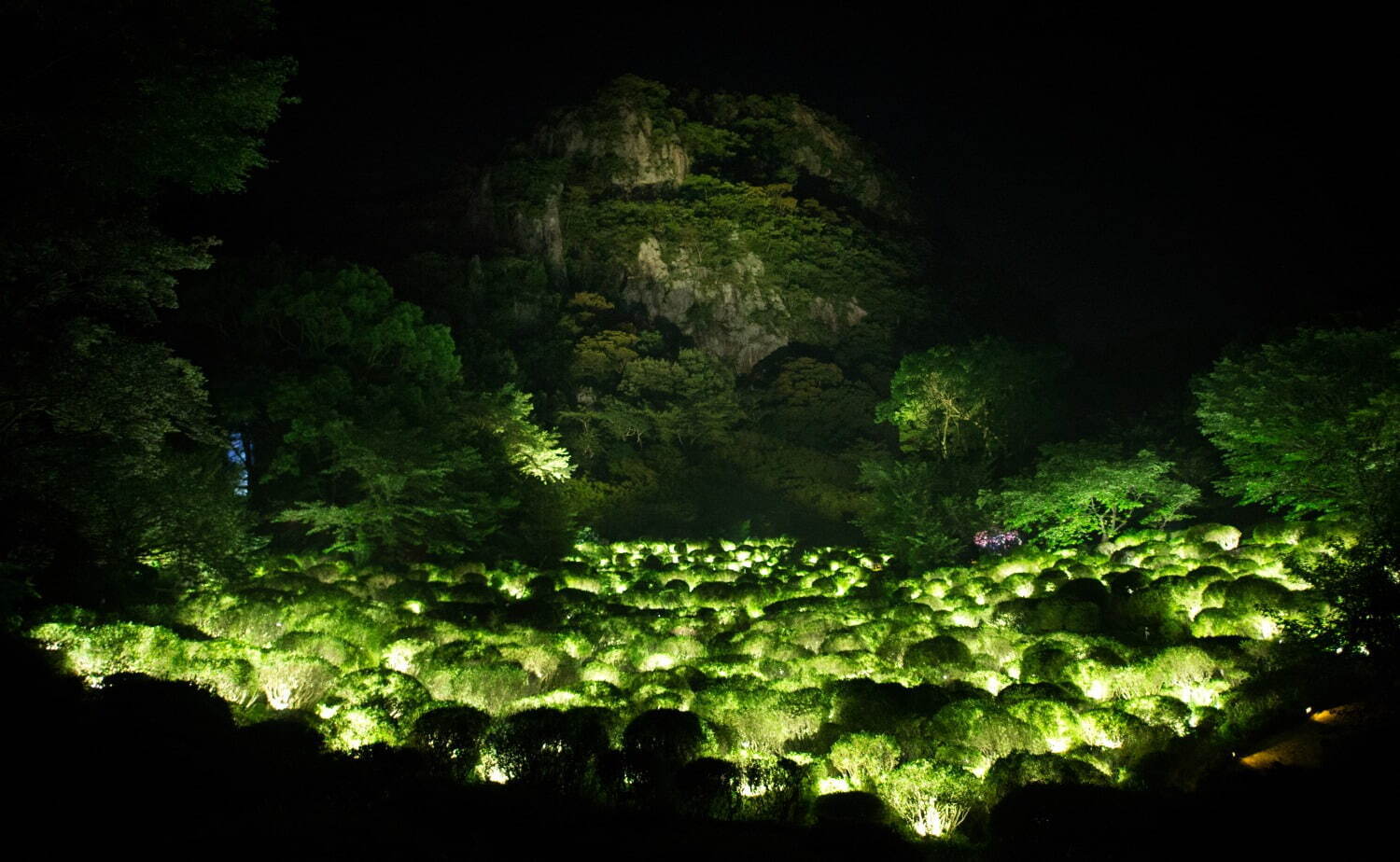 チームラボが佐賀・御船山楽園の大自然を光のアートに、滝”の投影や輝く桜＆もみじなど｜写真4