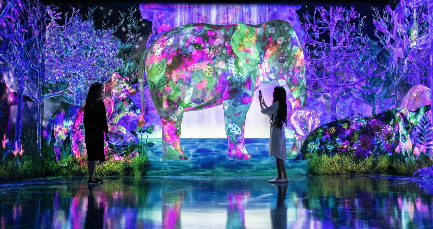 チームラボ《捕まえて集める森》Courtesy teamLab Forest, Fukuoka (c) チームラボ