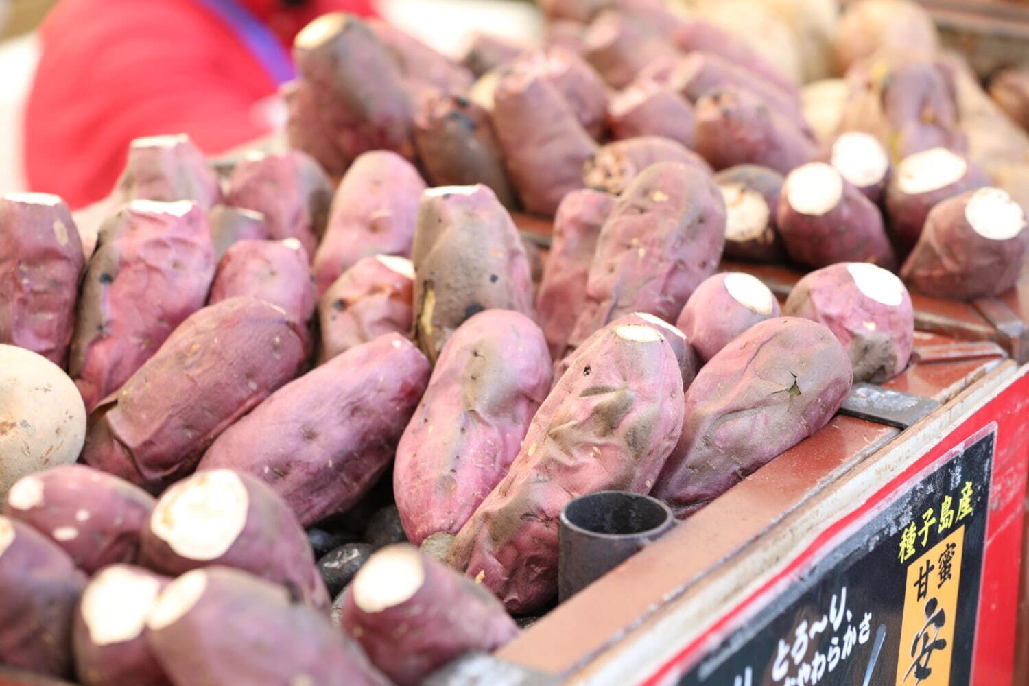 さつまいも博が贈る新たなイベント「超芋まつり」採れたてサツマイモの焼き芋やスイーツ、収穫体験も｜写真6