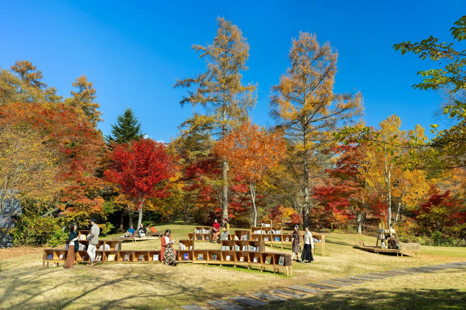 紅葉＆読書を楽しむ「紅葉図書館」軽井沢星野エリアで、読書のお供にメープルナッツラテやハンモックも｜写真9