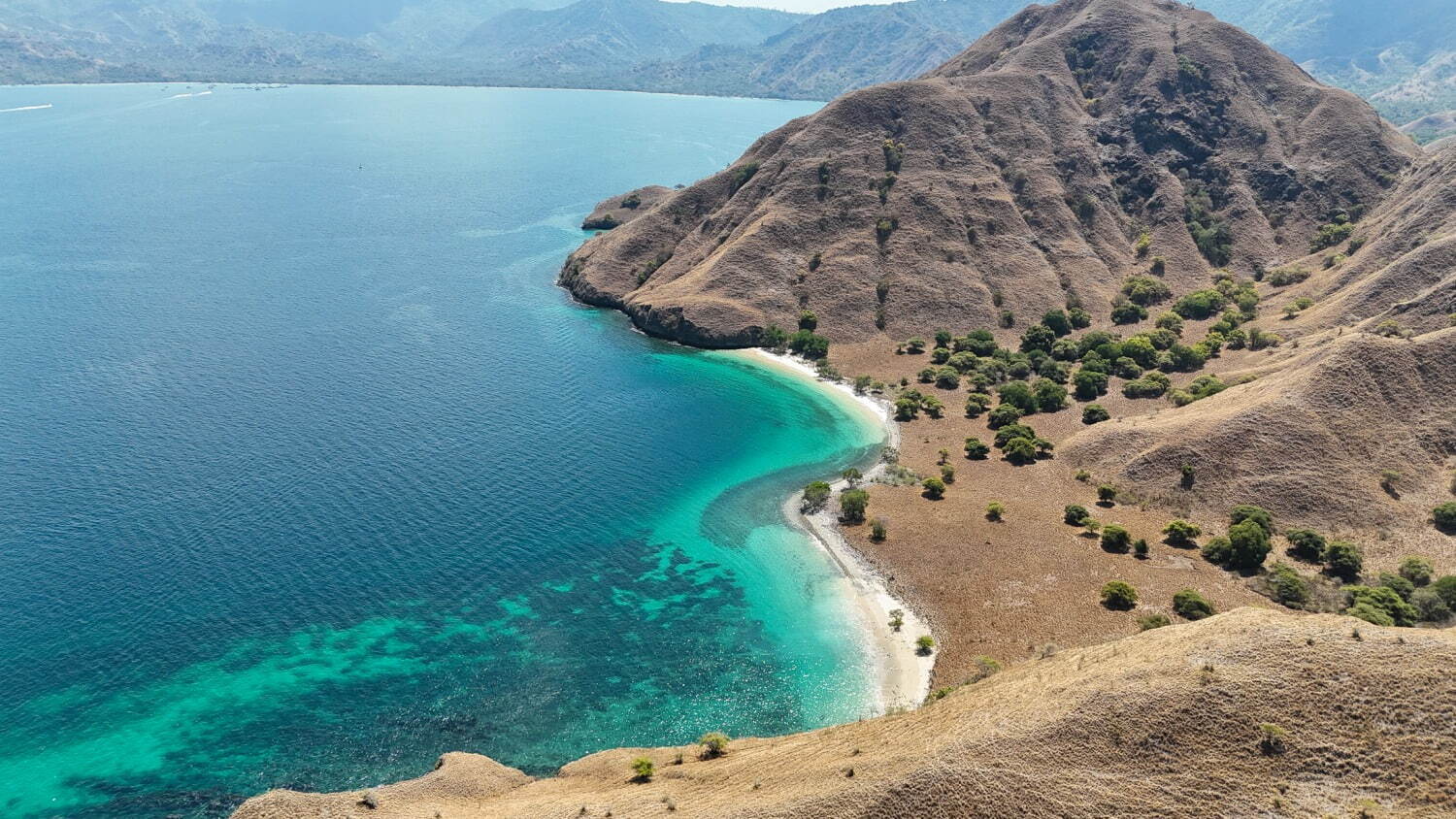 インドネシアの楽園「コモド諸島」世界で最も映える海の1つ、桃色の砂浜“ピンクビーチとは？｜写真21