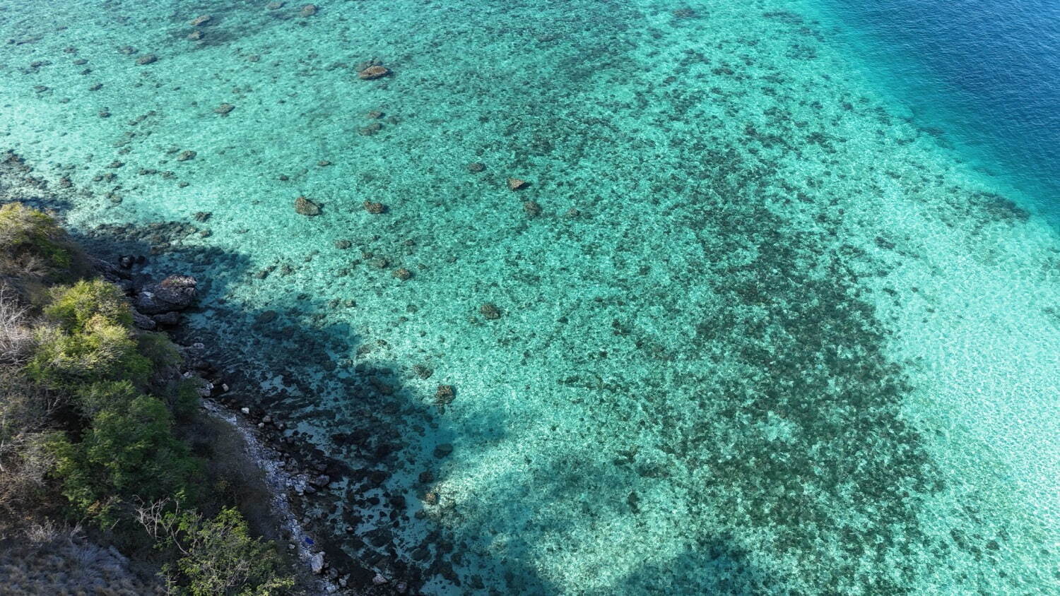 インドネシアの楽園「コモド諸島」世界で最も映える海の1つ、桃色の砂浜“ピンクビーチとは？｜写真36