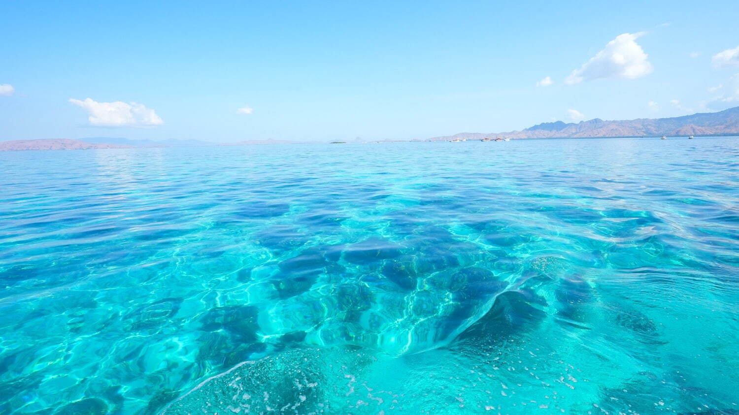 インドネシアの楽園「コモド諸島」世界で最も映える海の1つ、桃色の砂浜“ピンクビーチとは？｜写真67