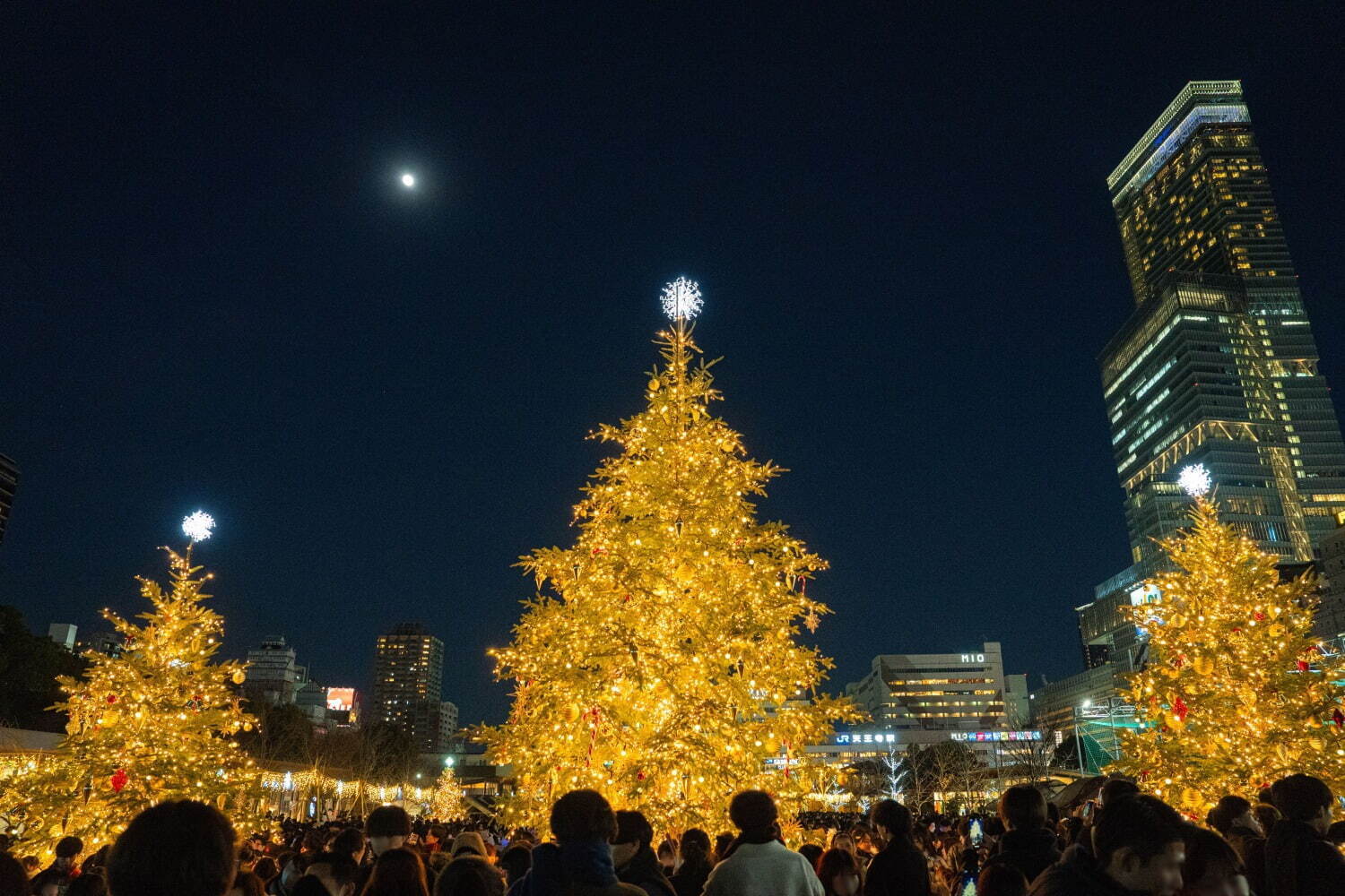 【大阪・天王寺公園てんしば】クリスマスマーケット in 大阪