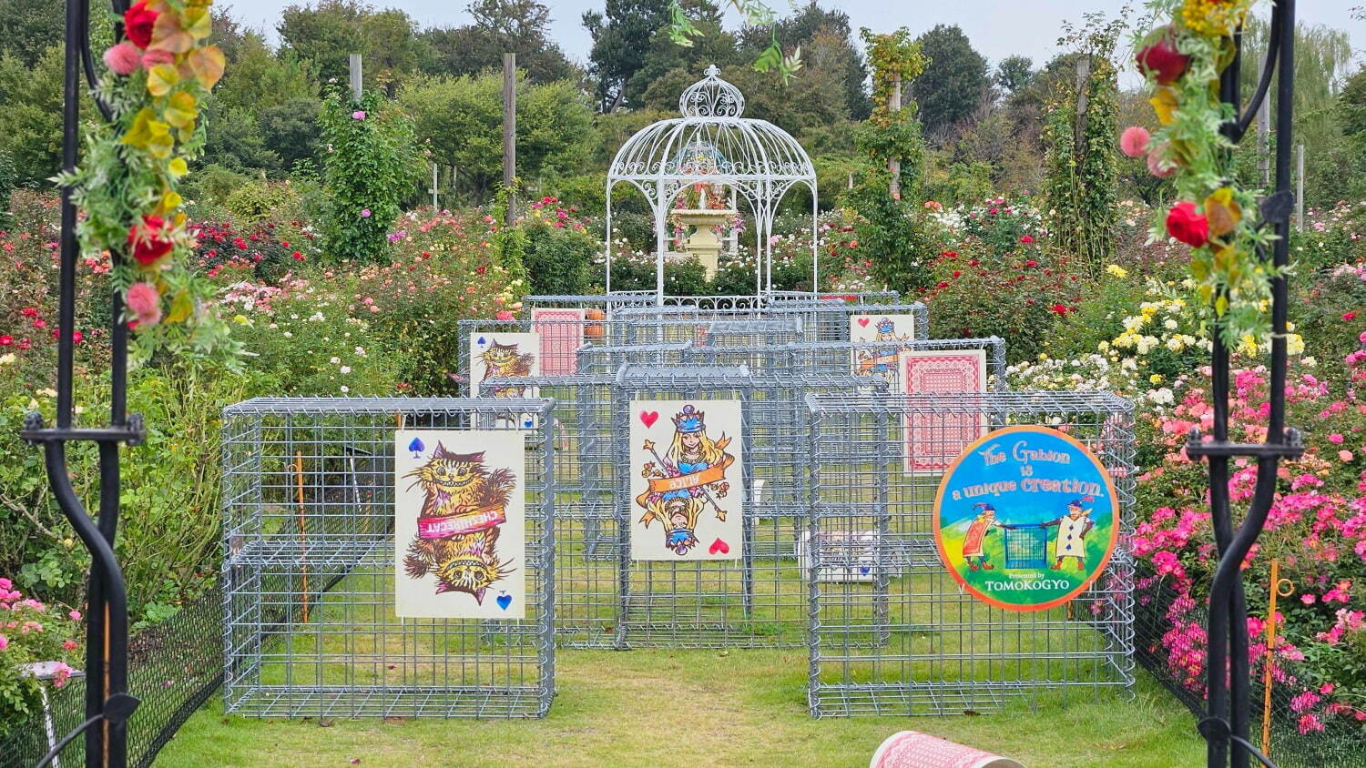 千葉・京成バラ園で「不思議の国のアリス」テーマの秋イベント、香り高い秋バラが開花｜写真33