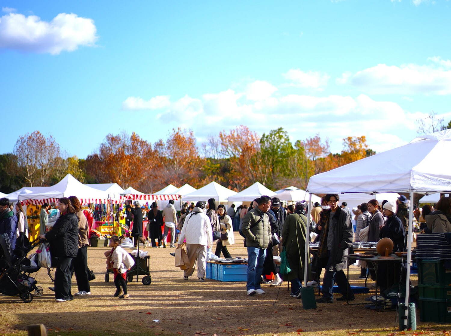 「関西蚤の市」大阪・万博記念公園にヴィンテージ＆アンティークの古道具や雑貨集結、220組超が出店｜写真6