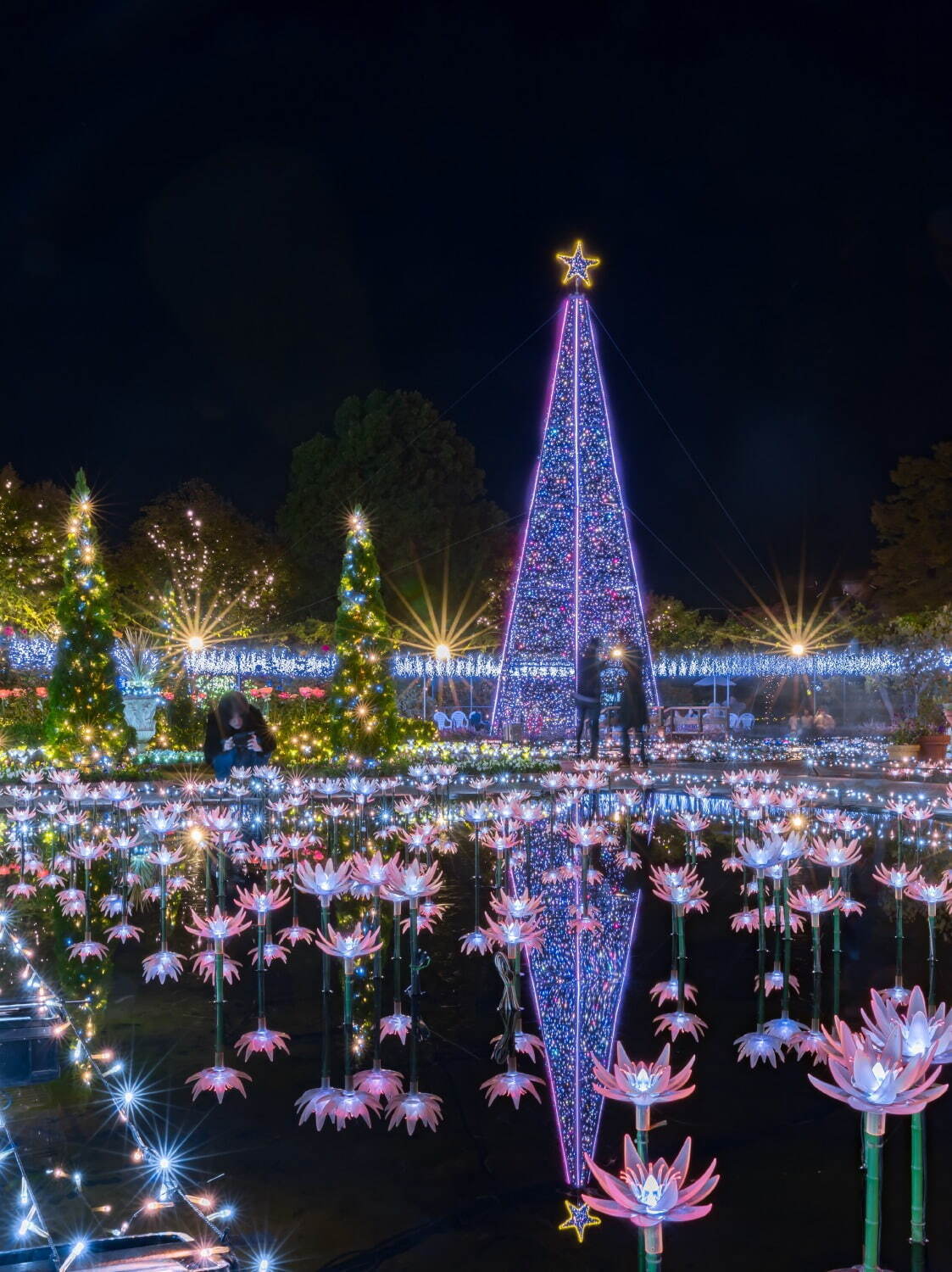 あしかがフラワーパーク24年イルミネーション、500万球が彩る「光の花の庭」冬景色輝く新エリアも｜写真15