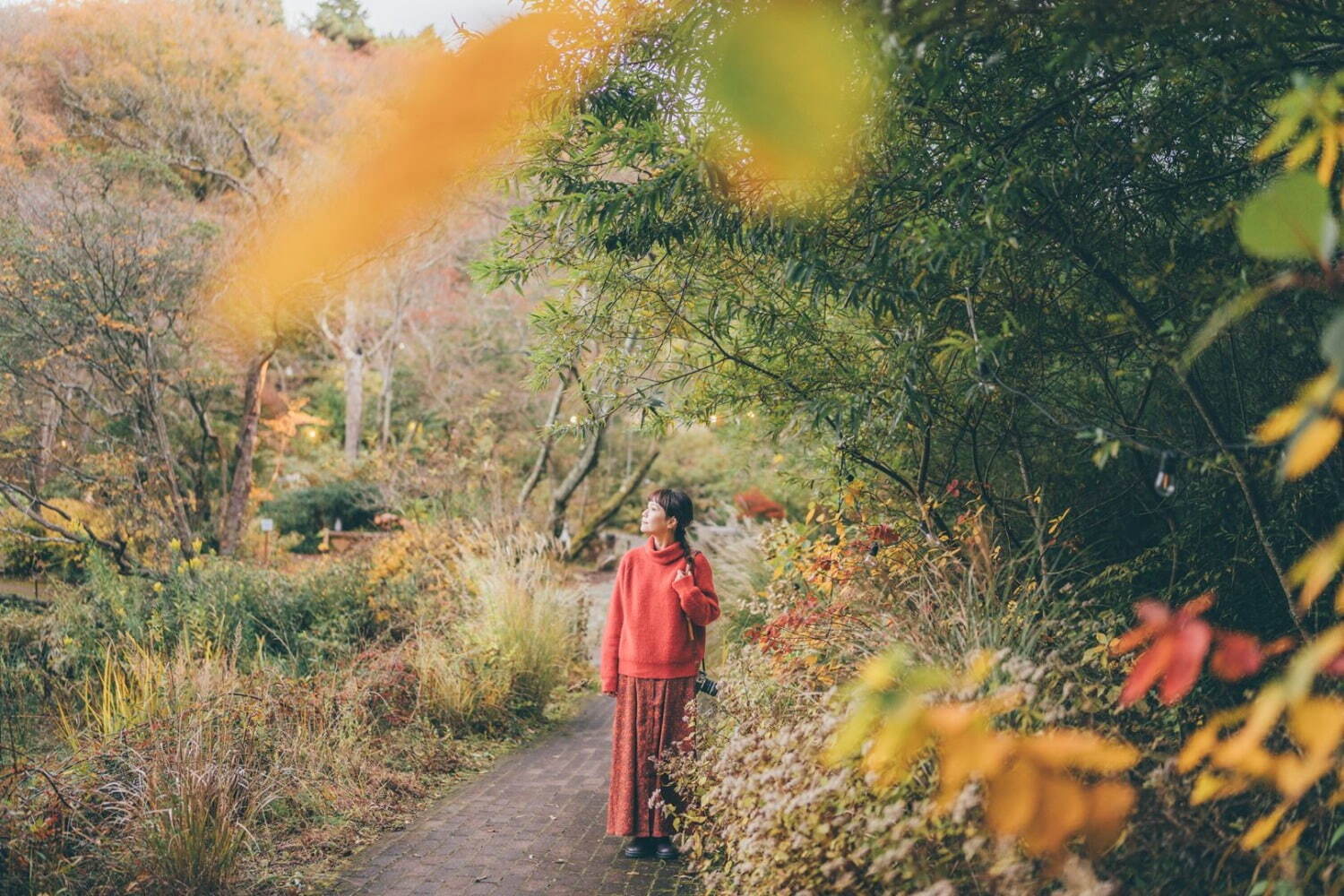 “夜の紅葉ライトアップ”ROKKO森の音ミュージアム＆六甲高山植物園で、土日祝日限定で開催｜写真7