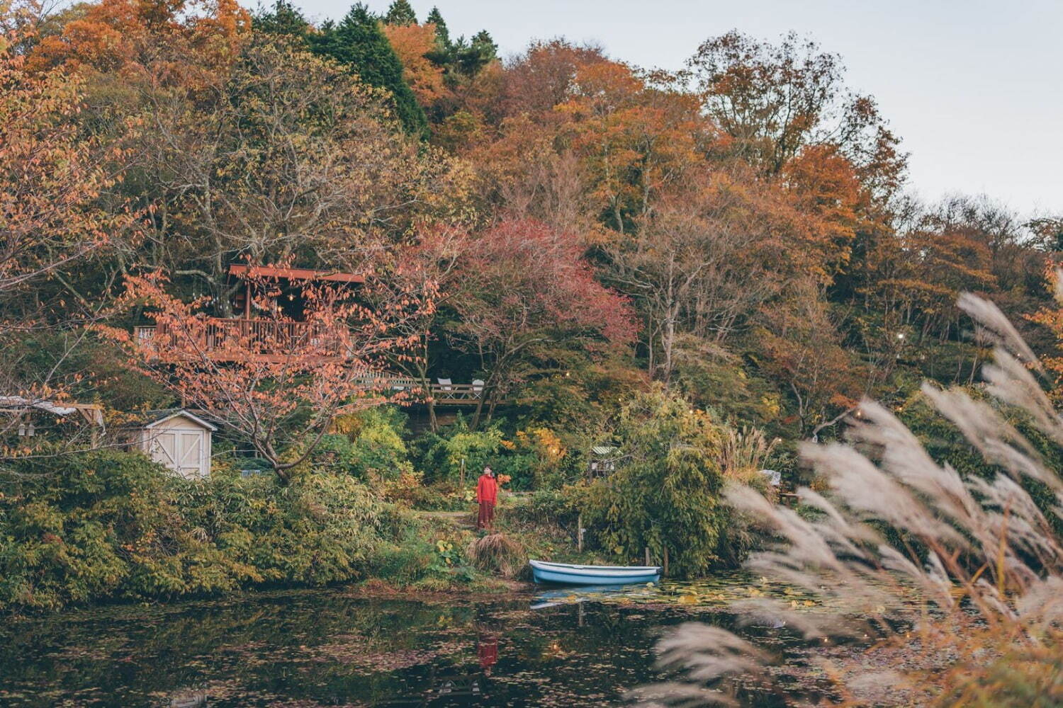 “夜の紅葉ライトアップ”ROKKO森の音ミュージアム＆六甲高山植物園で、土日祝日限定で開催｜写真6