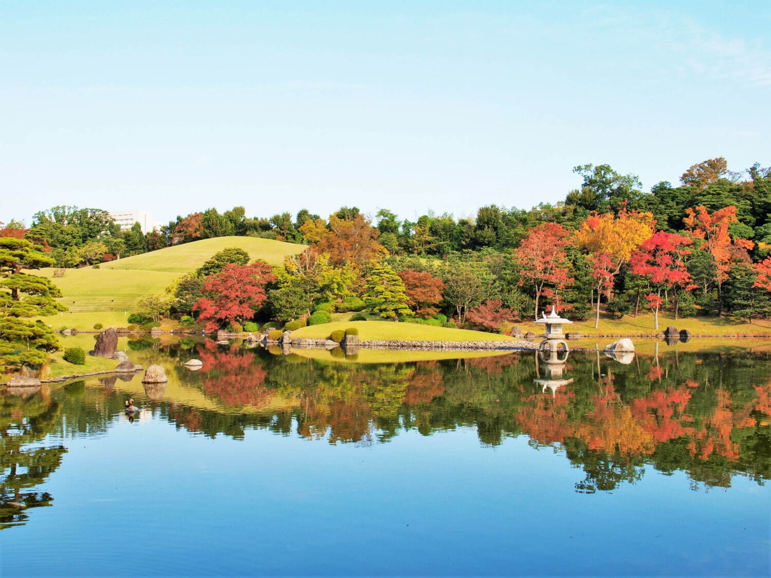 写真提供：万博記念公園マネジメント・パートナーズ