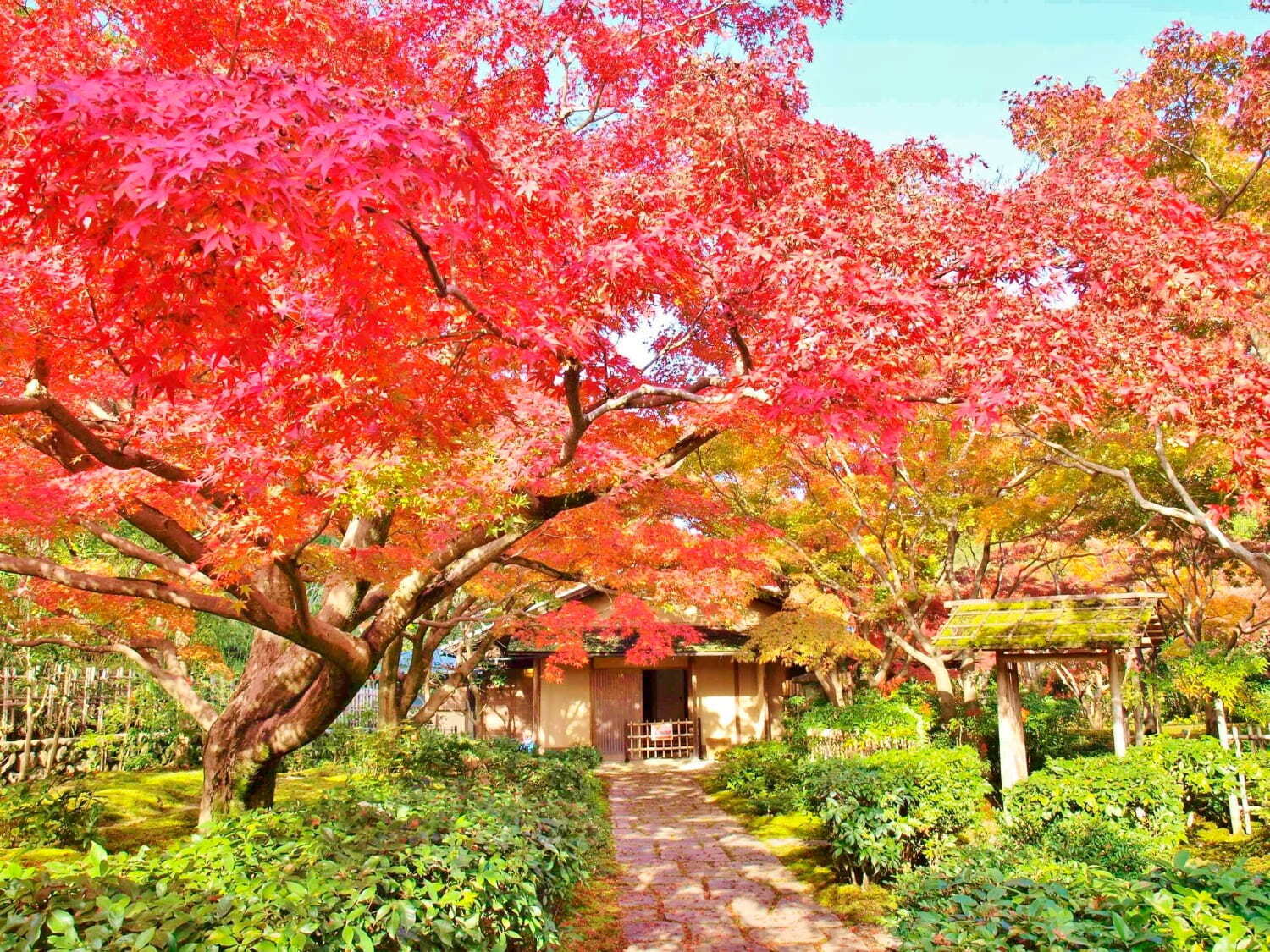 写真提供：万博記念公園マネジメント・パートナーズ