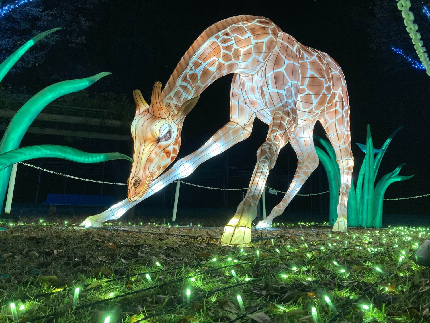 東武動物公園「ウィンターイルミネーション2024-2025」光の桜や動物オブジェのライトアップ｜写真19