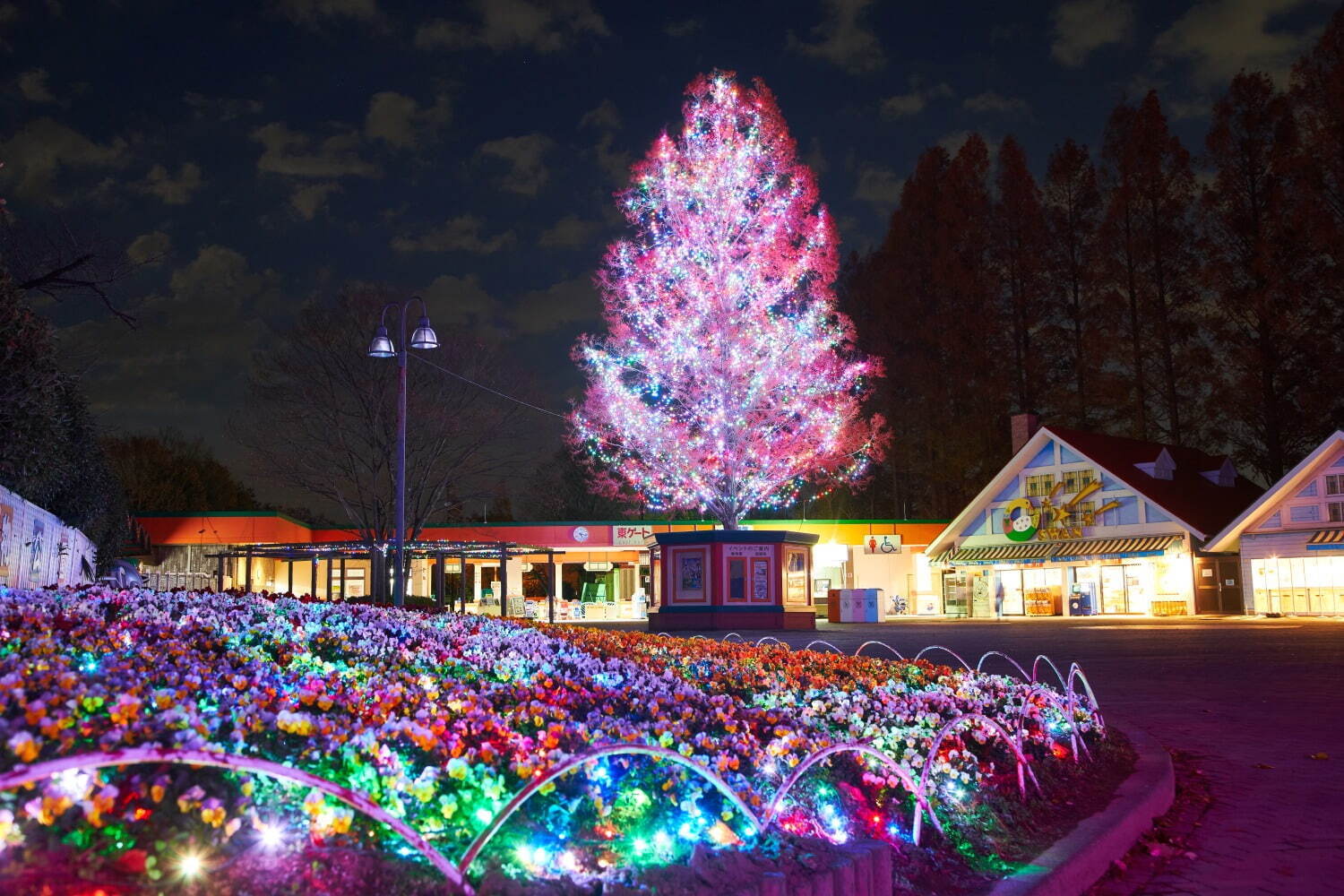 東武動物公園「ウィンターイルミネーション2024-2025」光の桜や動物オブジェのライトアップ｜写真5