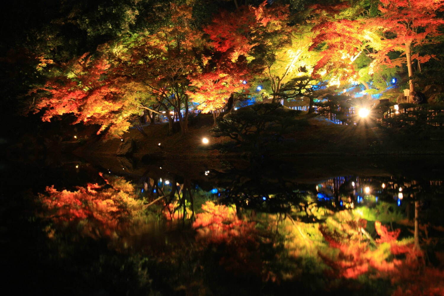 香川県の特別名勝「栗山公園」紅葉ライトアップ、幻想的な湖の水面＆夜間限定の周遊和船も｜写真2